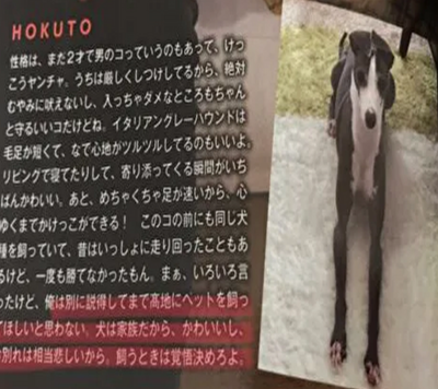 松村北斗　愛犬