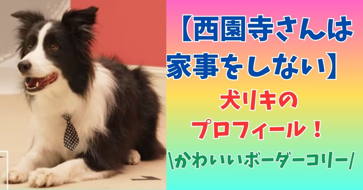 西園寺さんは家事をしない　犬